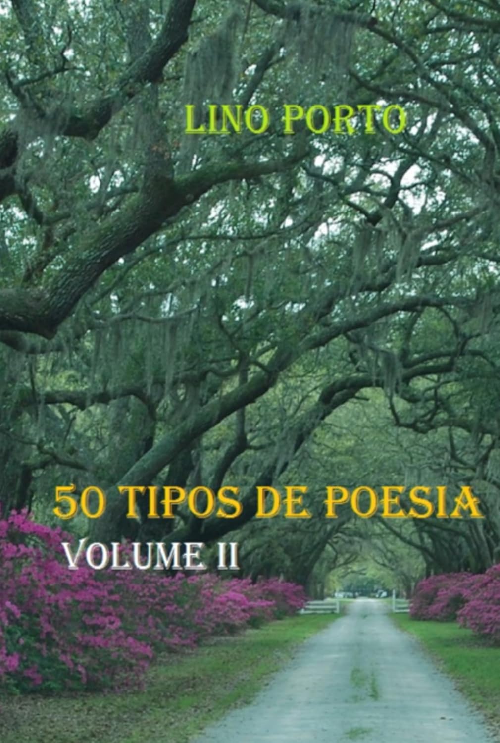 50 Tipos De Poesia baixar o livro de graça