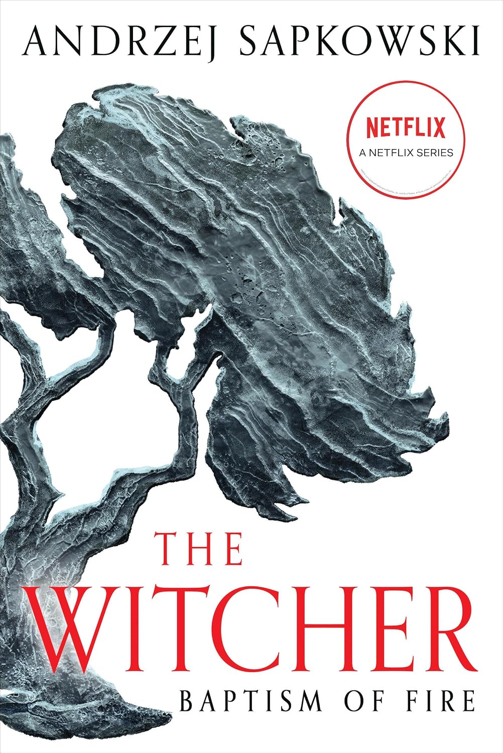 capítulo por capítulo baixar Baptism of Fire (The Witcher Book 5) (English Edition)