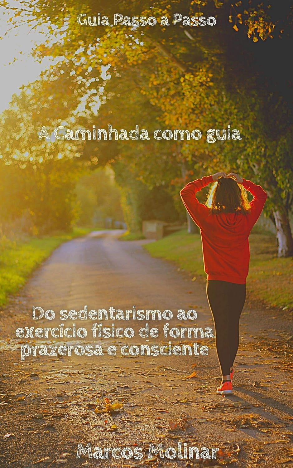 A Caminhada como Guia: ( Do sedentarismo ao exercício de forma prazerosa e consciente) baixar livro de graça