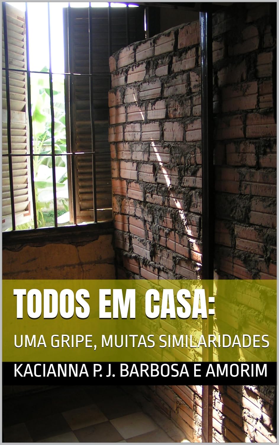 capítulo por capítulo baixar TODOS EM CASA:: UMA GRIPE, MUITAS SIMILARIDADES (Fascículos da Educação Contemporânea)