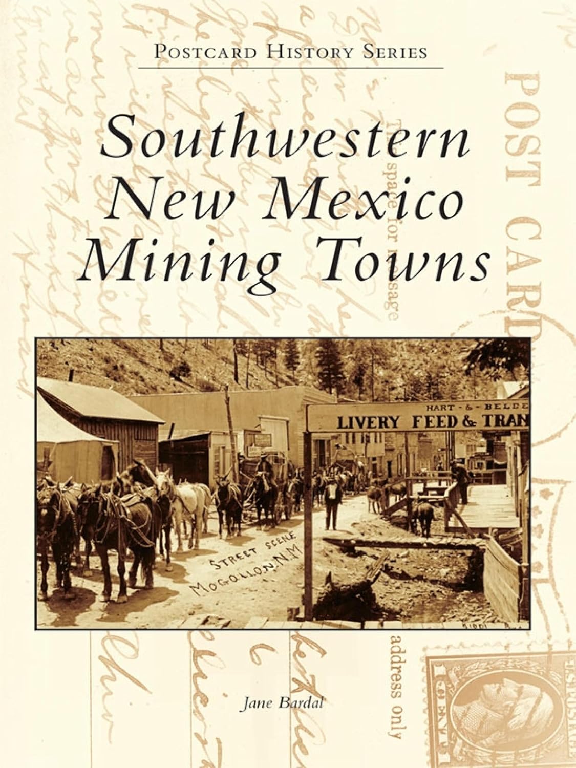Southwestern New Mexico Mining Towns (Postcard History Series) (English Edition) baixar o livro de graça