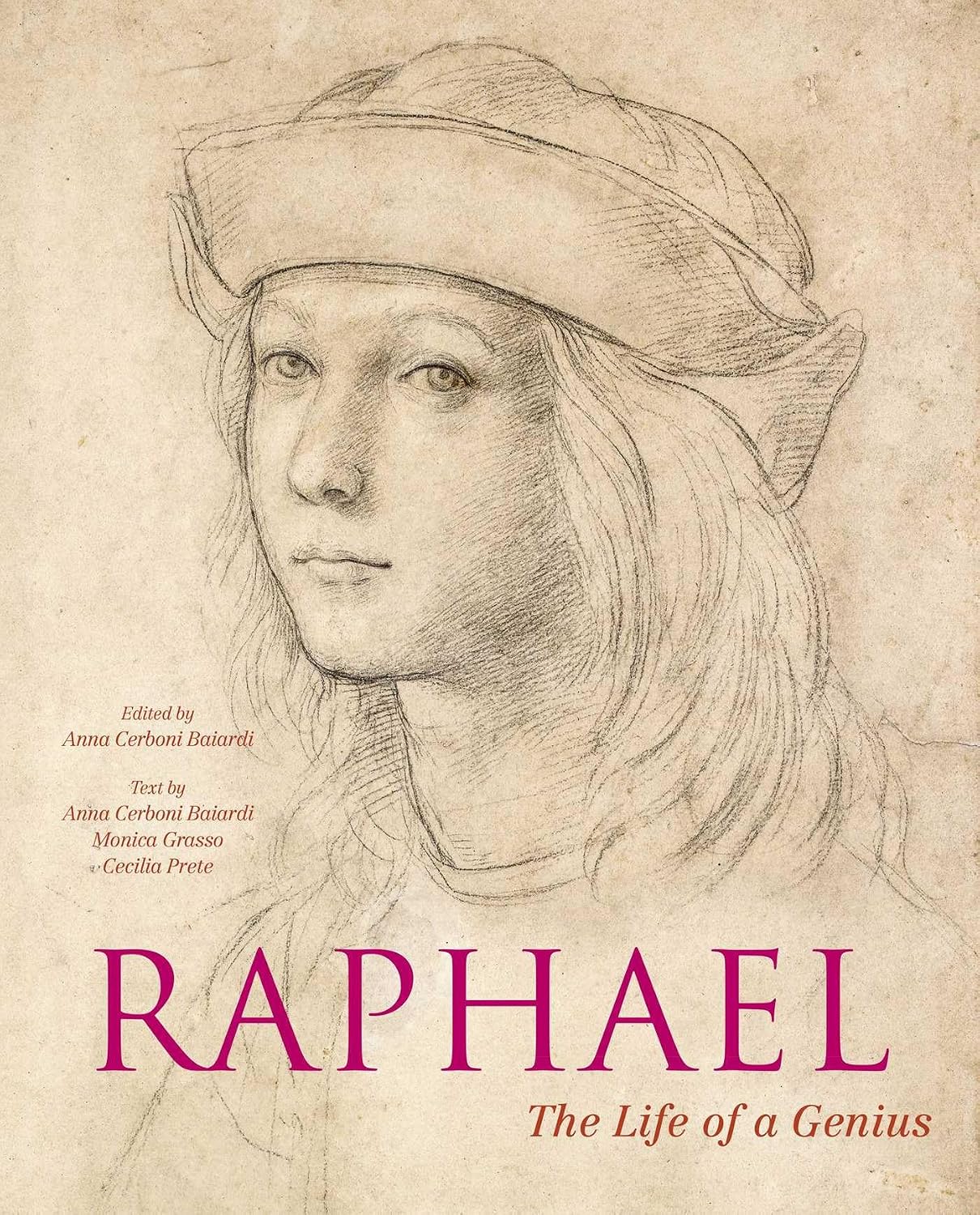 ler totalmente Raphael: The Life of a Genius