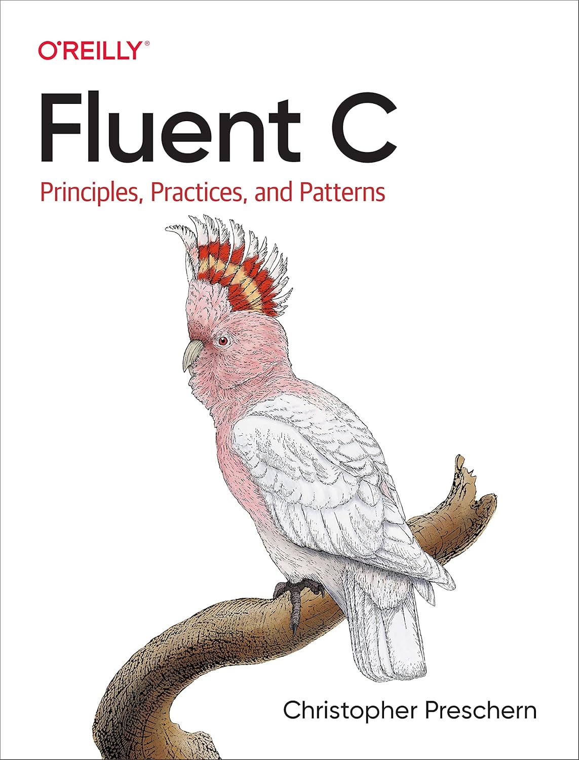 Fluent C: Principles, Practices, and Patterns baixar o livro de graça