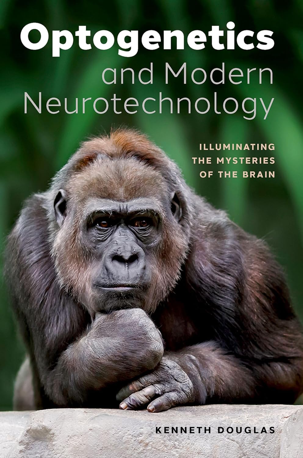 Optogenetics and Modern Neurotechnology: Illuminating the Mysteries of the Brain (English Edition) baixar o livro de graça
