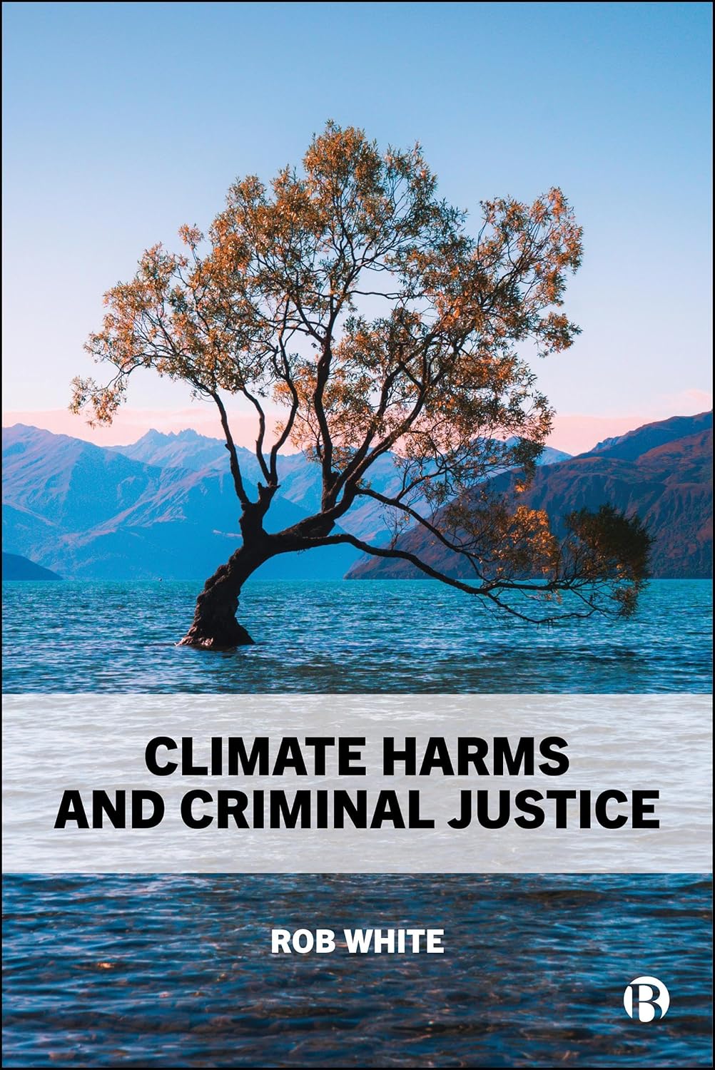 Climate Harms and Criminal Justice (English Edition) baixar o livro de graça
