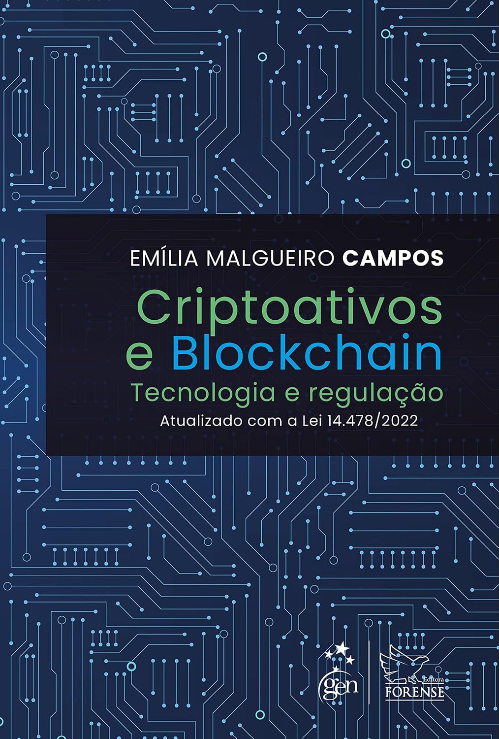 Criptoativos e Blockchain - Tecnologia e Regulação - 1ª Edição 2023 baixar livro de graça