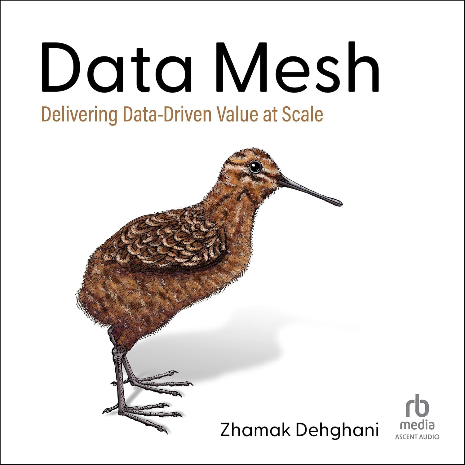 Data Mesh: Delivering Data-Driven Value at Scale baixar livro de graça