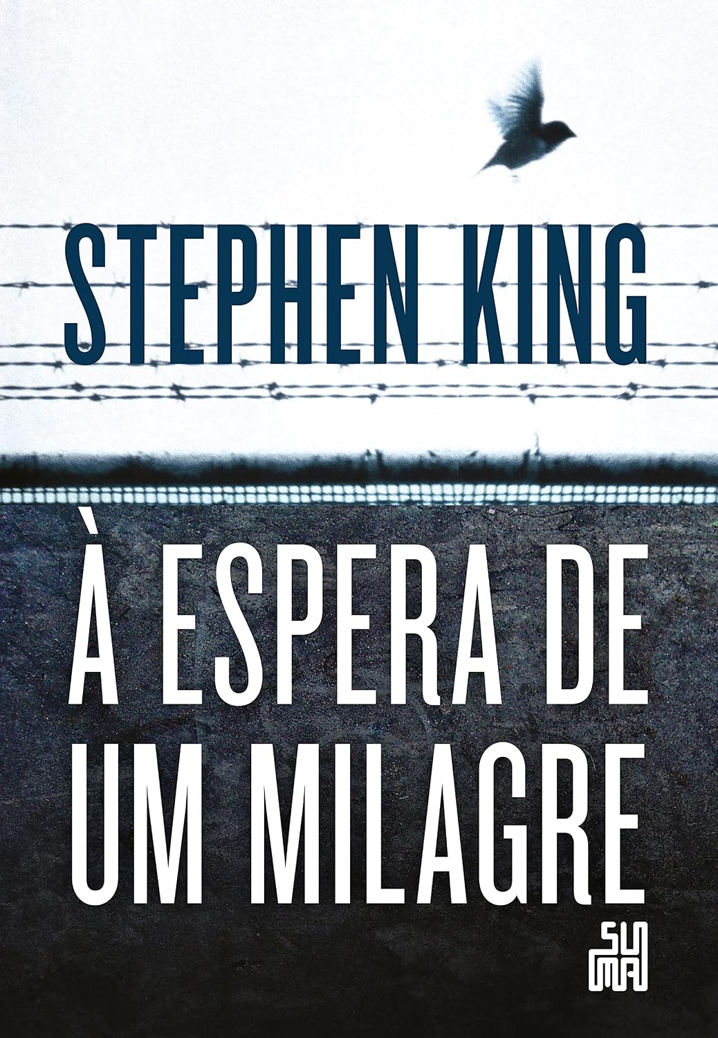 À espera de um milagre baixar o livro de graça