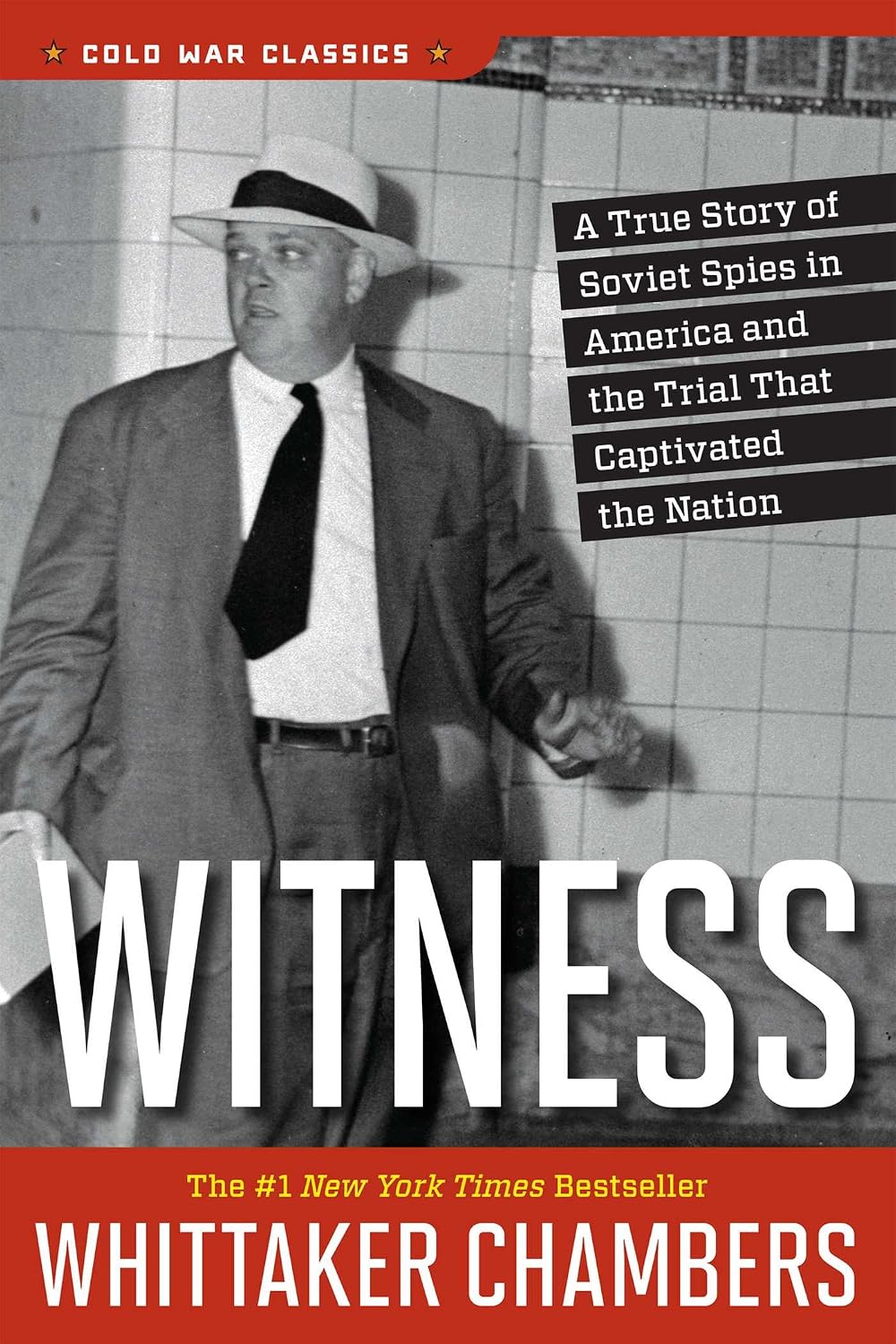 Witness (Cold War Classics) (English Edition) baixar o livro de graça