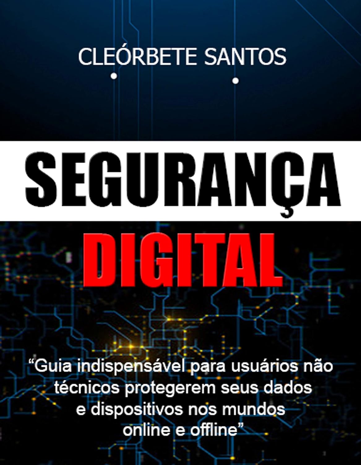 ler totalmente Segurança Digital
