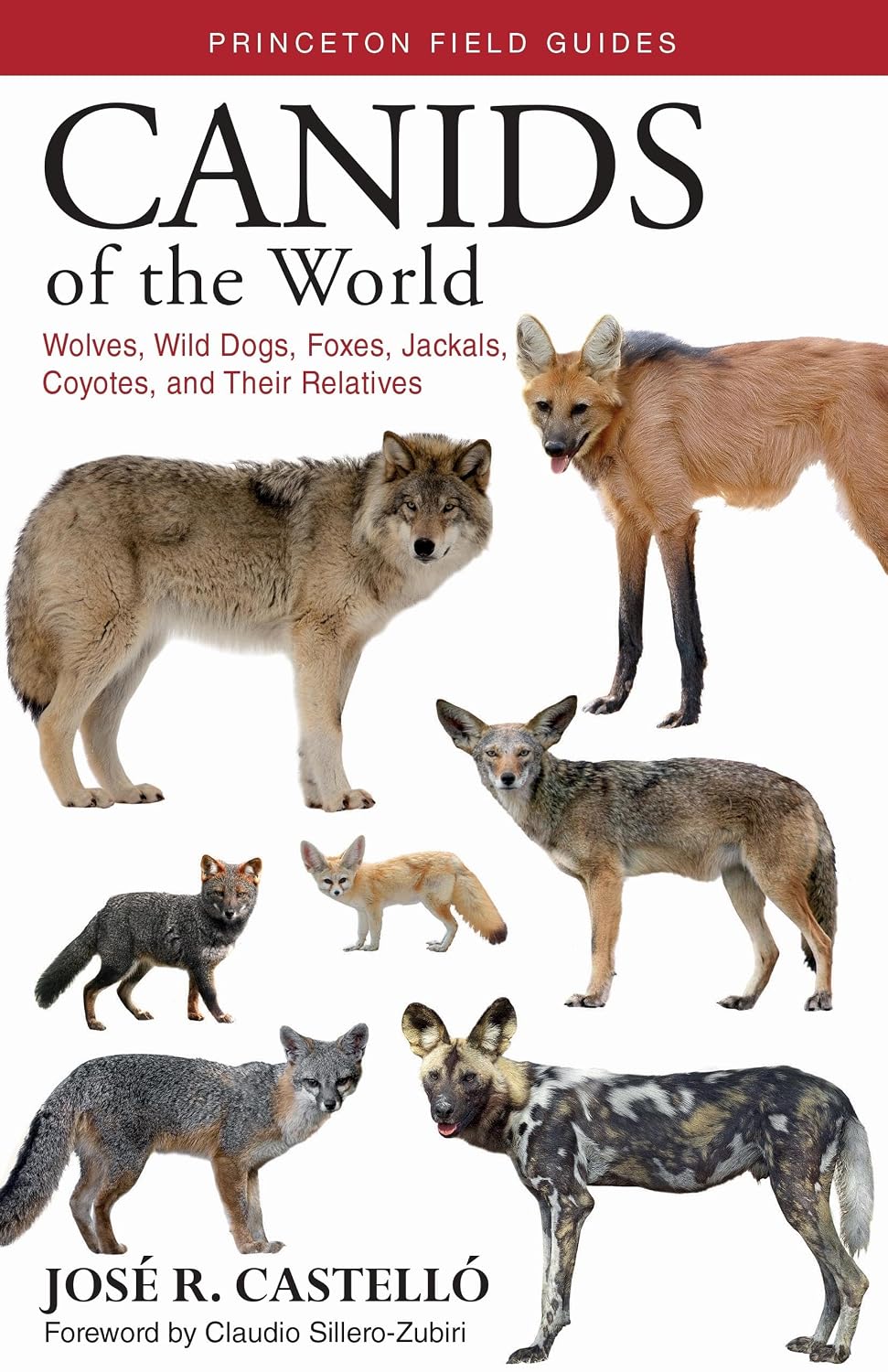 capítulo por capítulo baixar Canids of the World: Wolves, Wild Dogs, Foxes, Jackals, Coyotes, and Their Relatives: 116