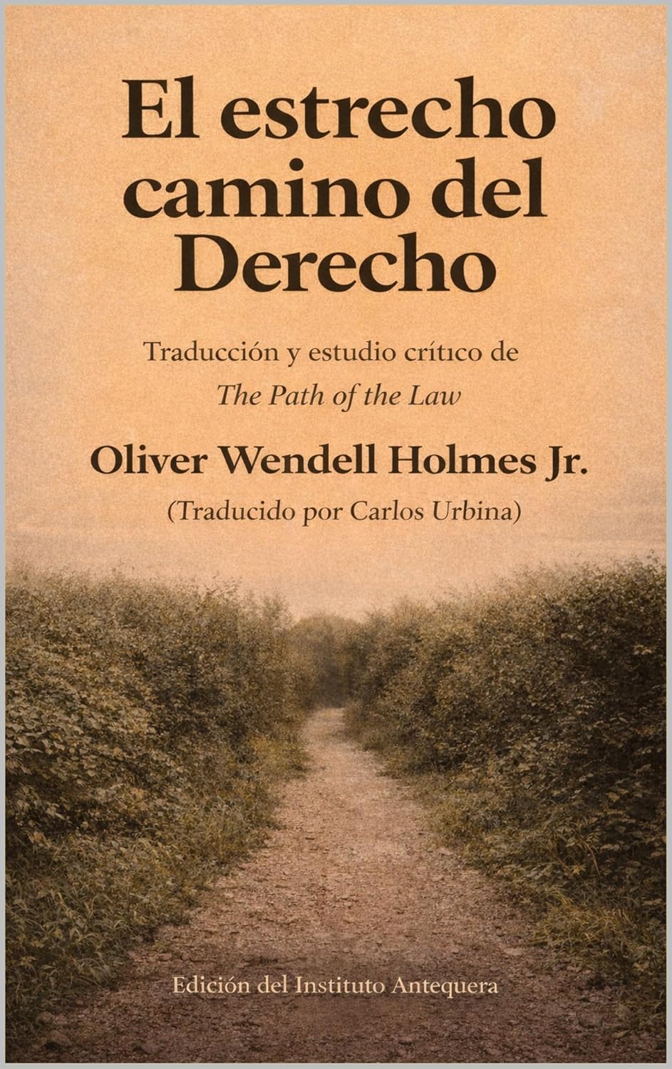 capítulo por capítulo baixar El estrecho camino del Derecho: Traducción y estudio crítico de The Path of the Law (Spanish Edition)