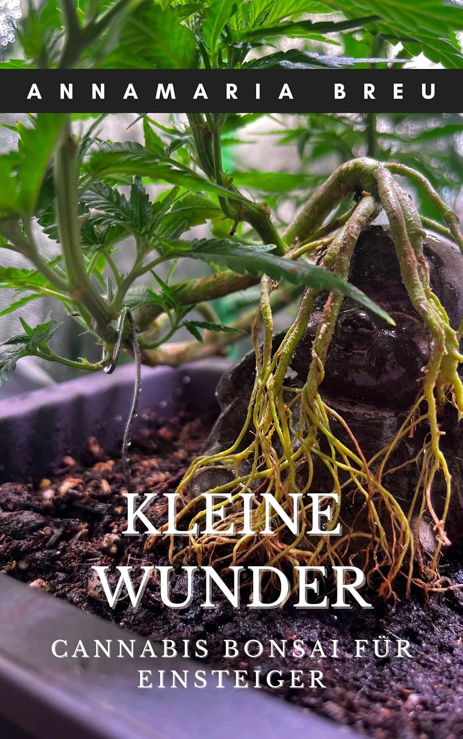 Kleine Wunder - Cannabis Bonsai für Einsteiger: Cannabisbuch für Einsteiger, Hanfanabau auf Bonsaiart (German Edition) baixar livro de graça