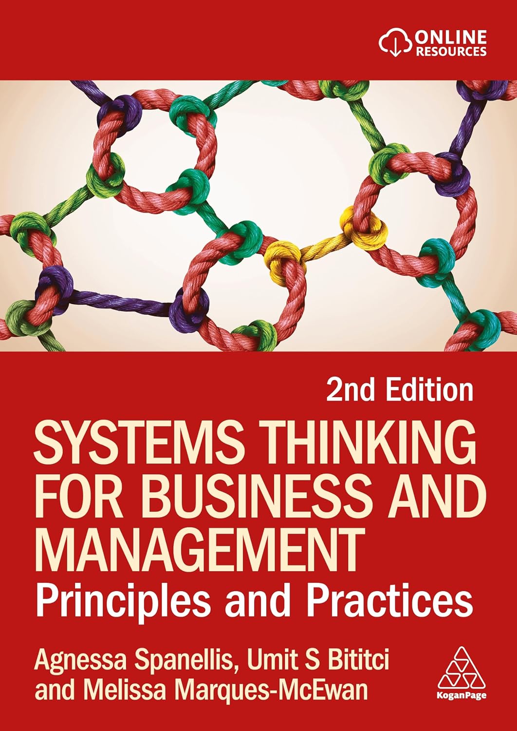 Systems Thinking for Business and Management: Principles and Practice (English Edition) baixar o livro de graça