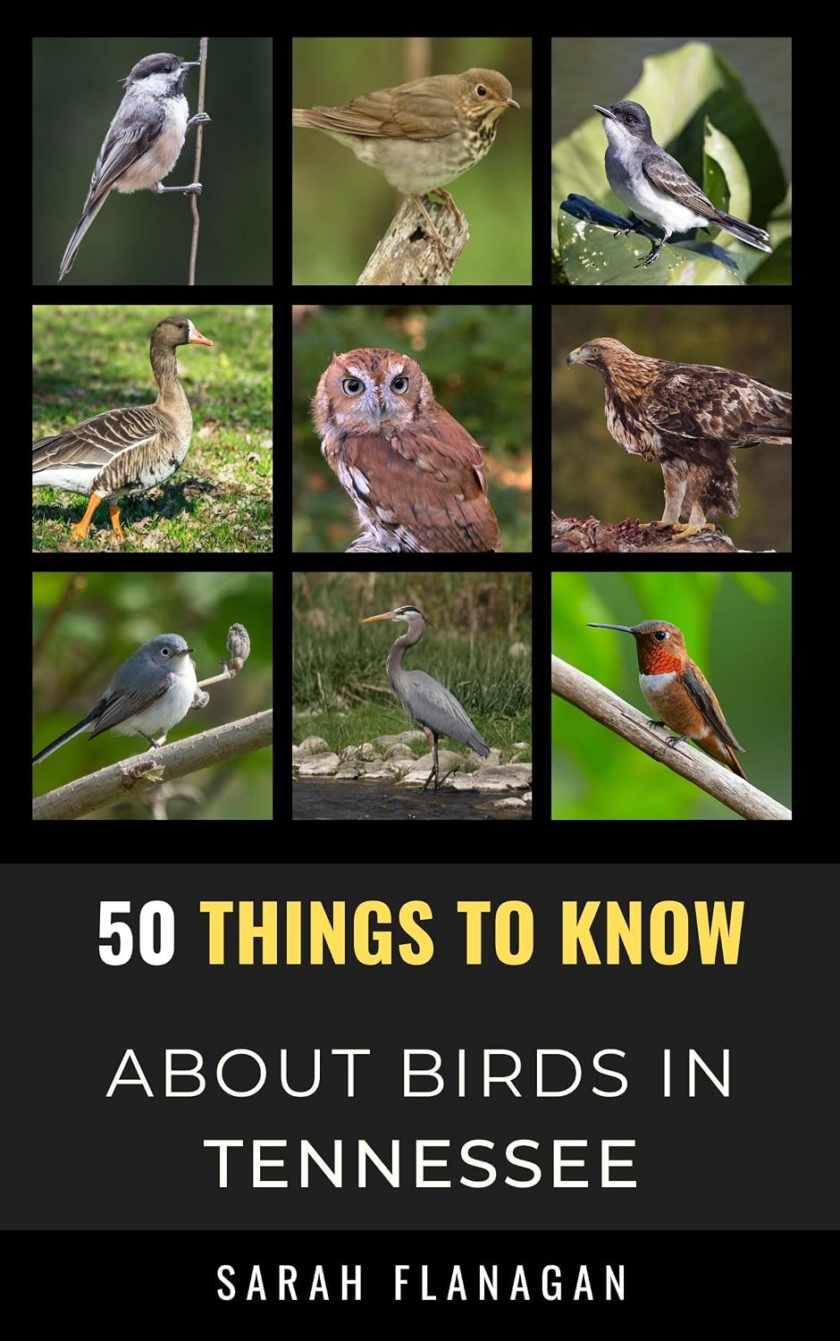 ler totalmente 50 Things to Know About Birds in Tennessee: Birdwatching Guide, Bird Identification, Local Species, Nature Facts, Backyard Birds, & Wildlife (50 Things... and regional bird books) (English Edition)