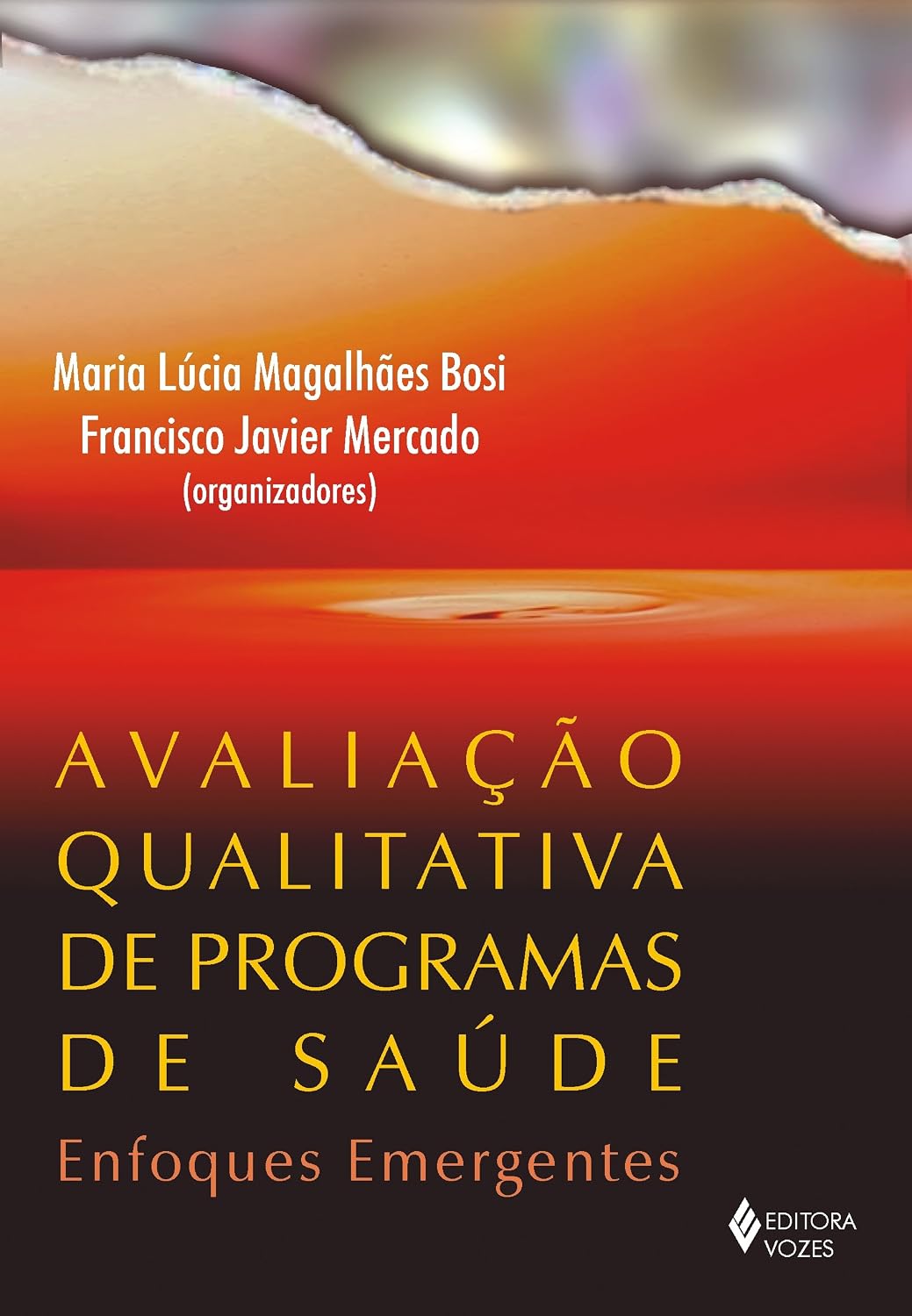 Avaliação qualitativa de programas de saúde: Enfoques emergentes baixar livro de graça