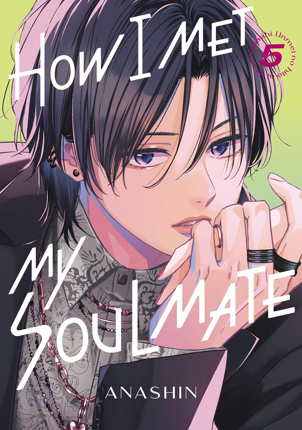 How I Met My Soulmate 5 baixar livro de graça