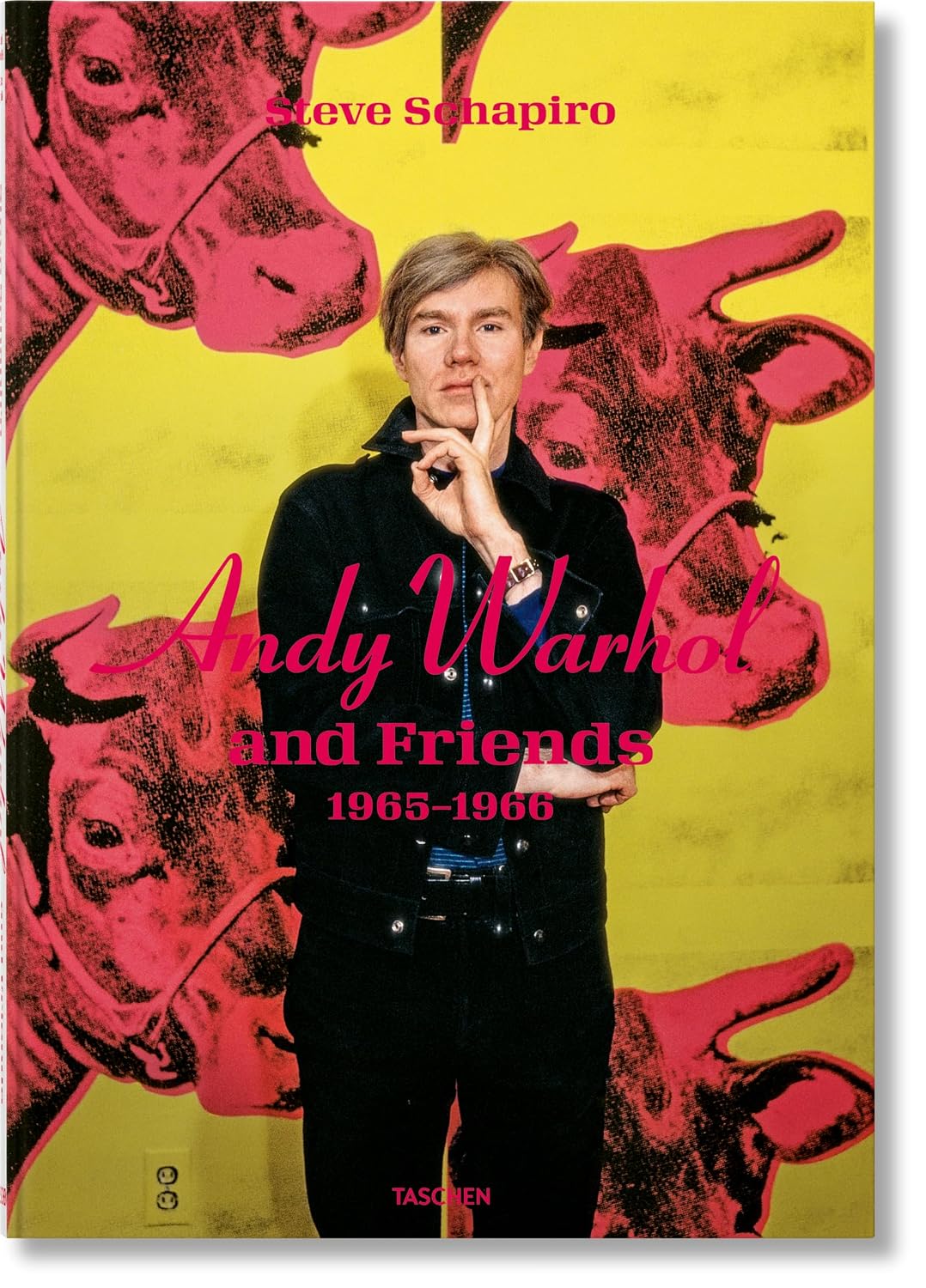 capítulo por capítulo baixar Steve Schapiro. Andy Warhol and friends
