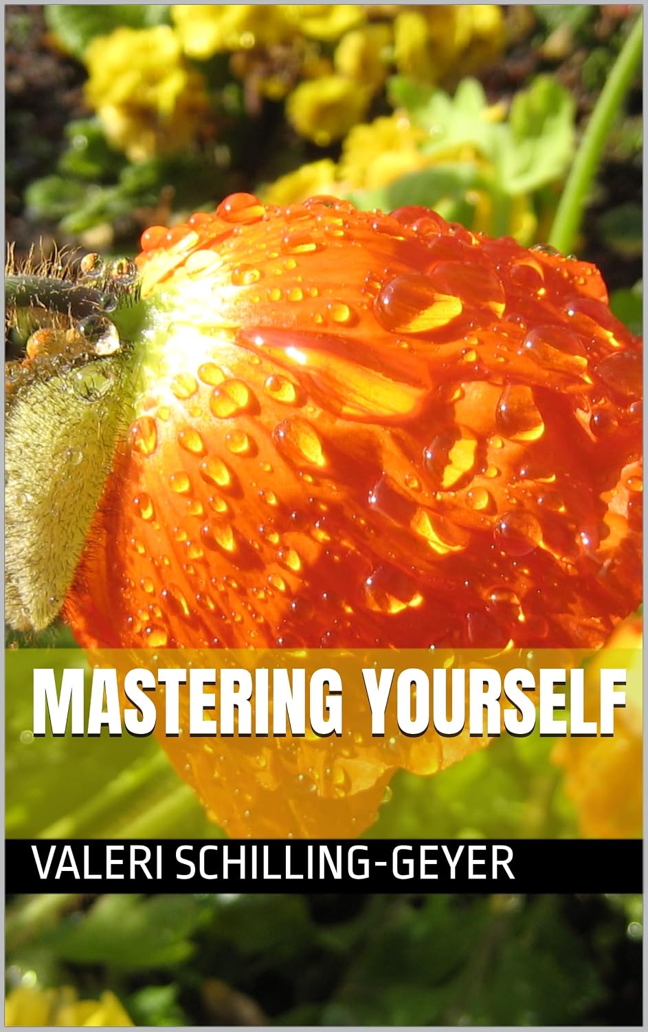 MASTERING YOURSELF (English Edition) baixar livro de graça