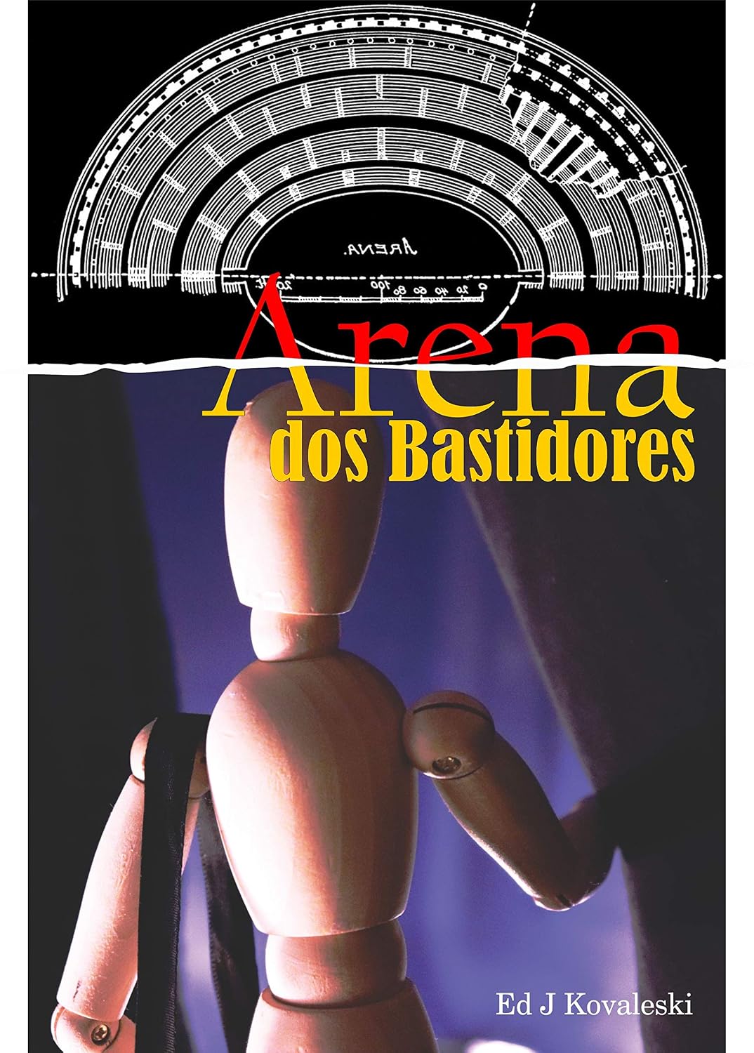 Arena dos Bastidores: O que acontece antes do show baixar livro de graça