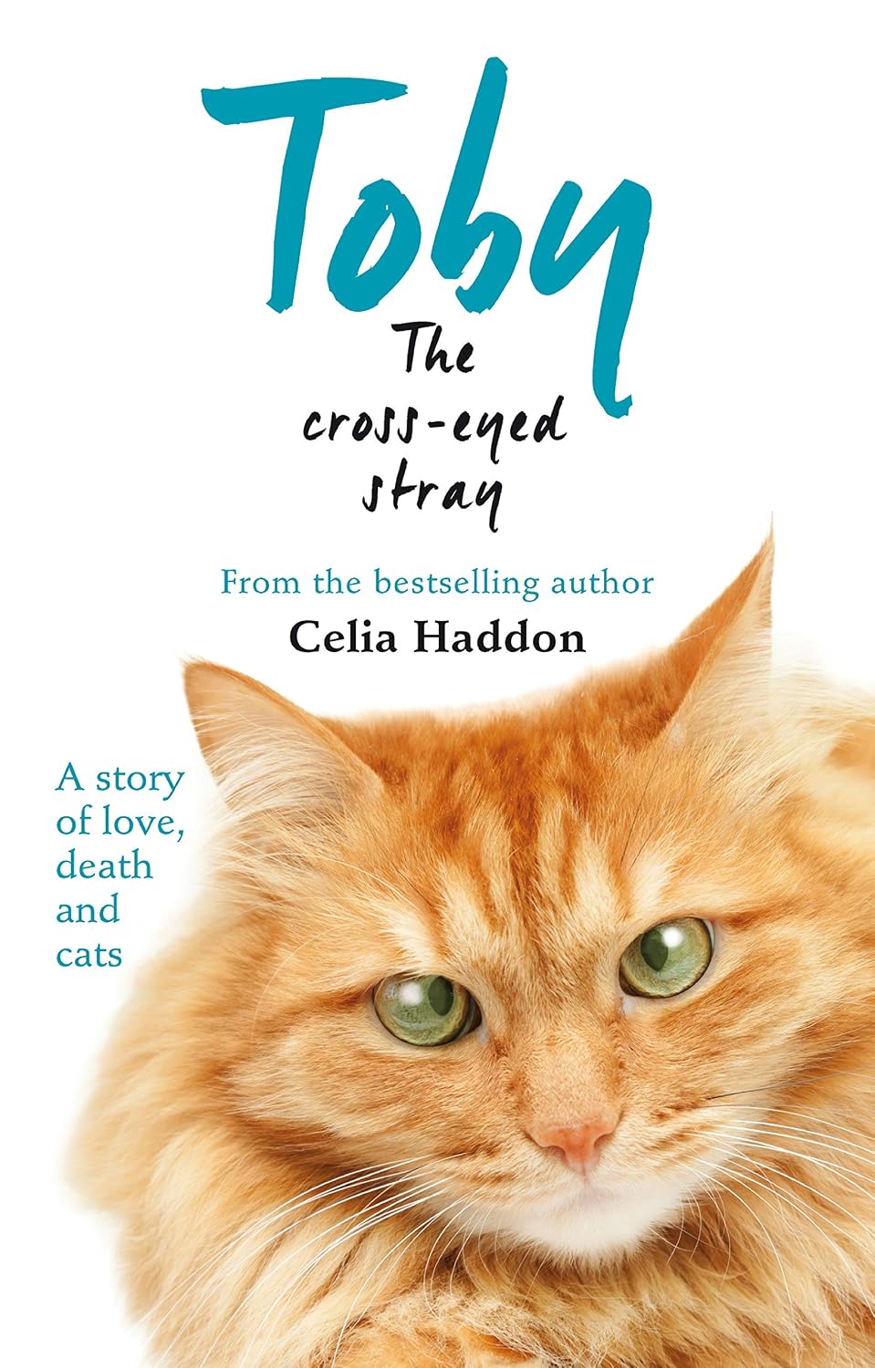 Toby The Cross-Eyed Stray (English Edition) baixar o livro de graça