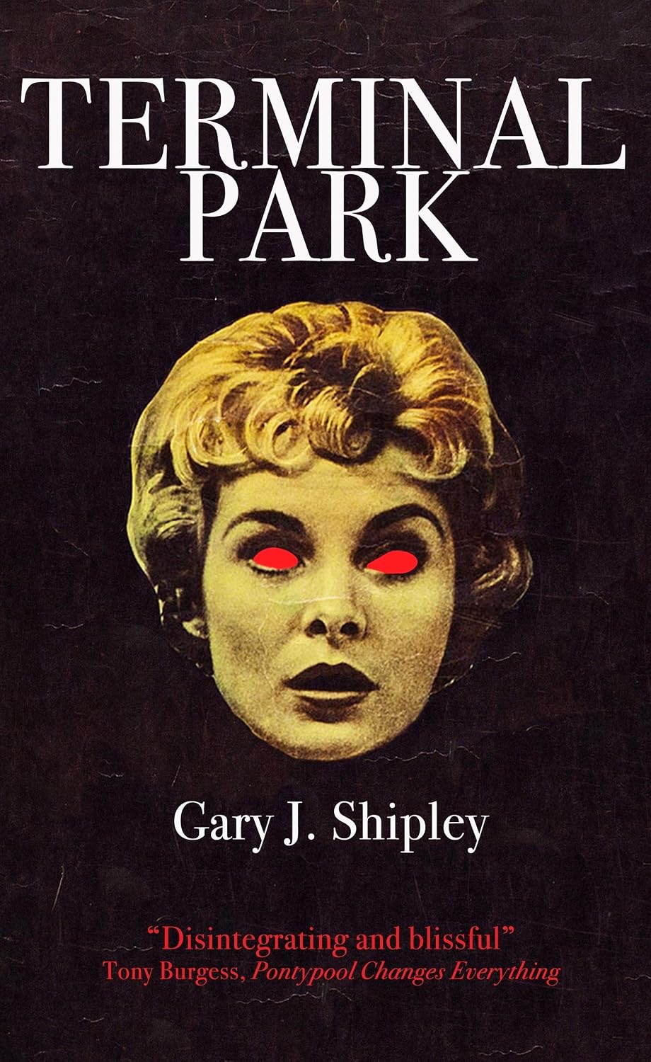 Terminal Park (English Edition) baixar livro de graça
