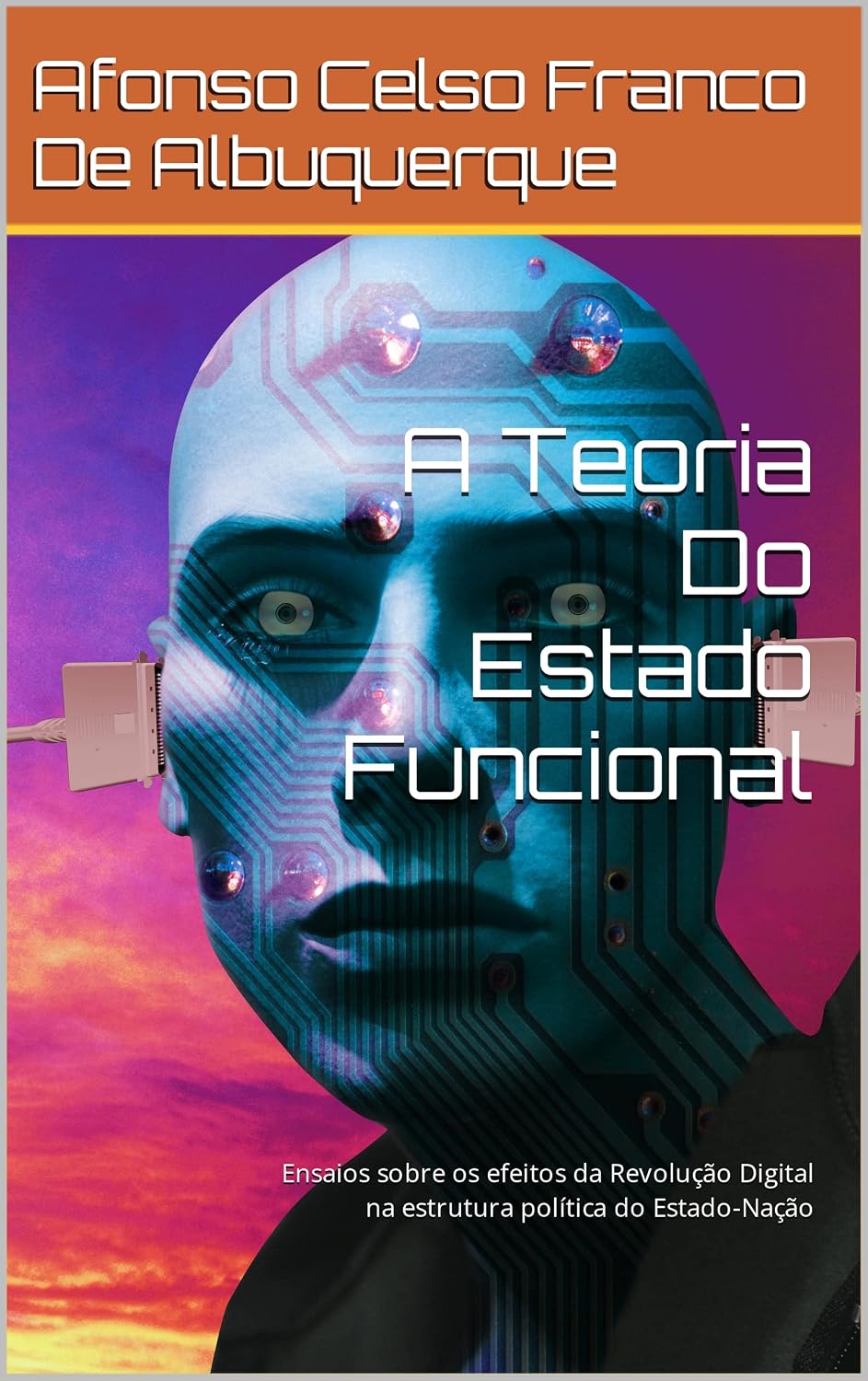 ler totalmente A Teoria Do Estado Funcional: Ensaios sobre os efeitos da Revolução Digital na estrutura política do Estado-Nação