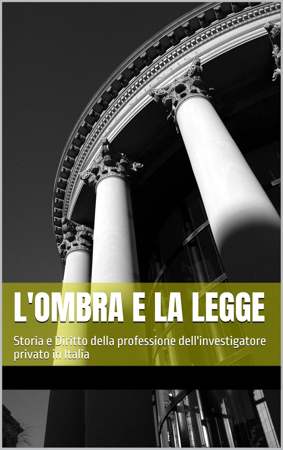 L'ombra e la Legge: Storia e Diritto della professione dell'investigatore privato in Italia (Italian Edition) baixar o livro de graça