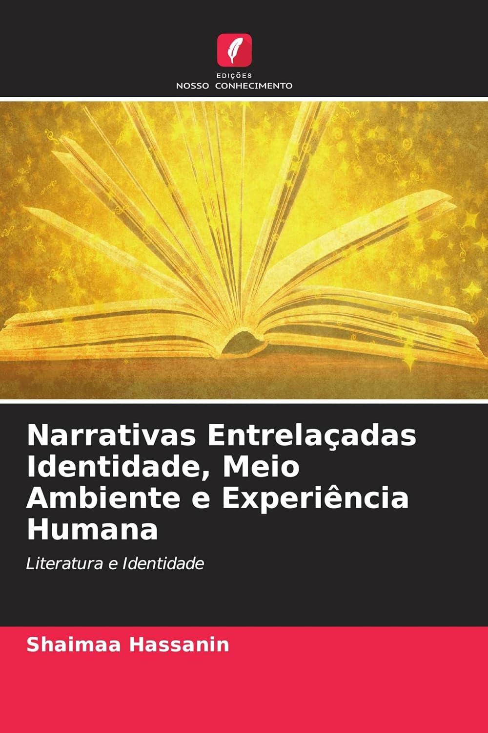 Narrativas Entrelaçadas Identidade, Meio Ambiente e Experiência Humana: Literatura e Identidade baixar o livro de graça