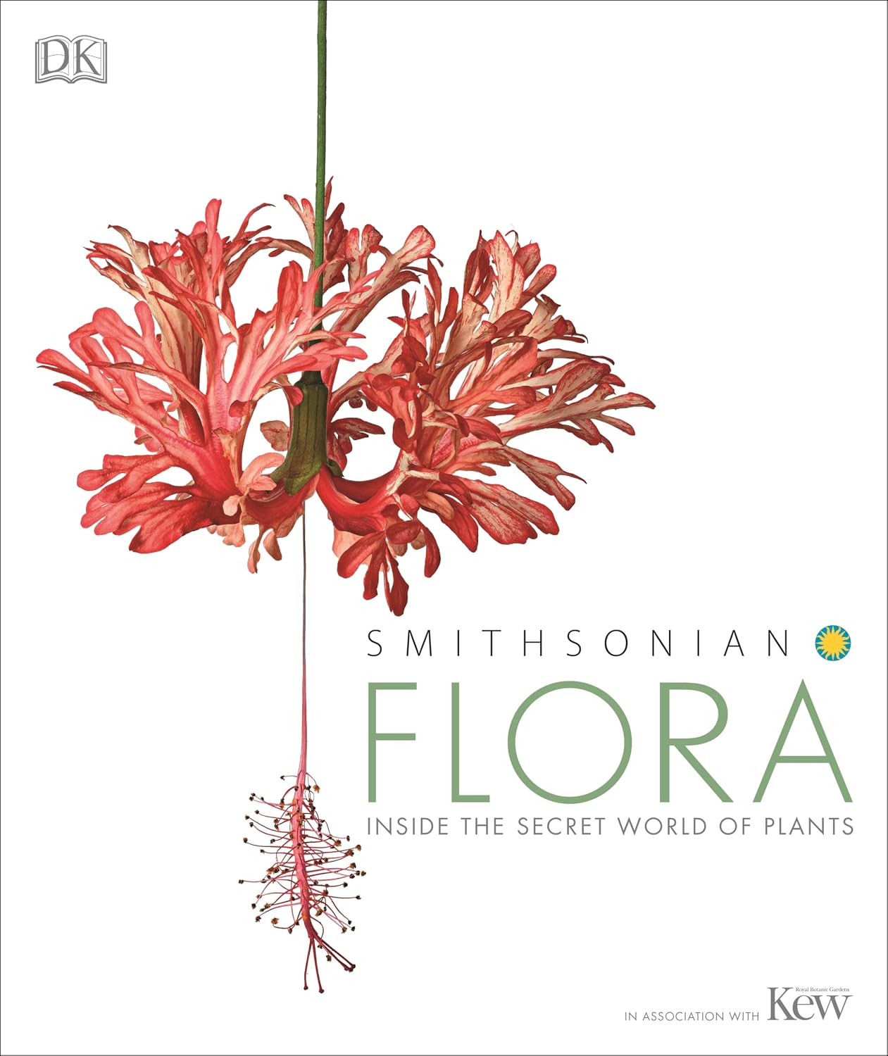 Flora: Inside the Secret World of Plants baixar livro de graça