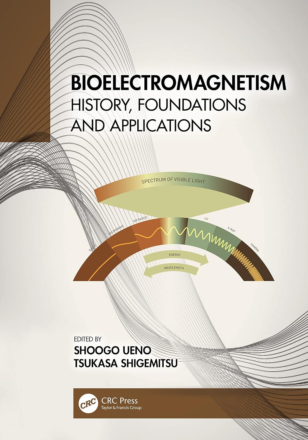 capítulo por capítulo baixar Bioelectromagnetism: History, Foundations and Applications