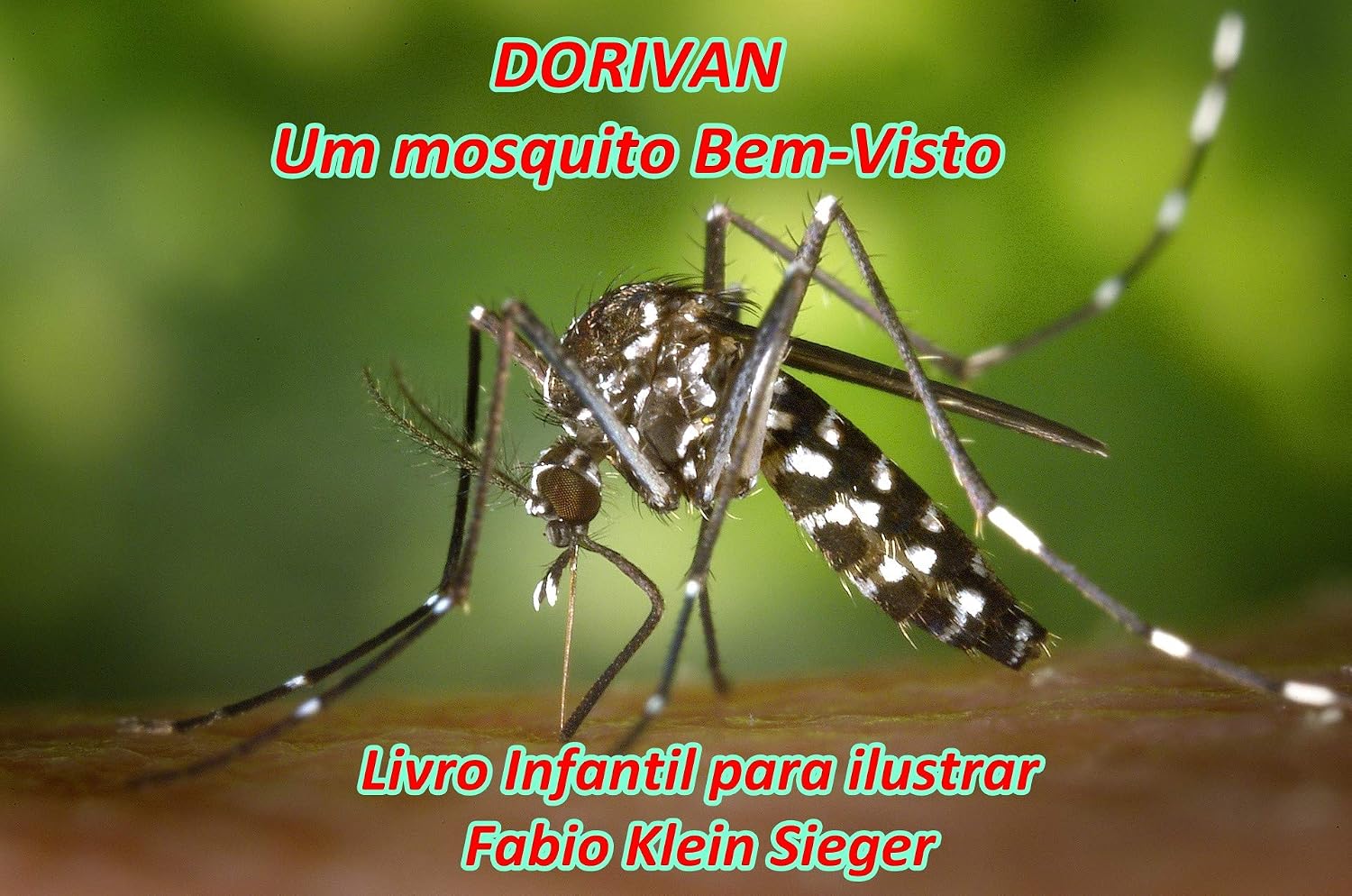 ler totalmente Dorivan. Um mosquito Bem-Visto.: Livro para ilustrar.
