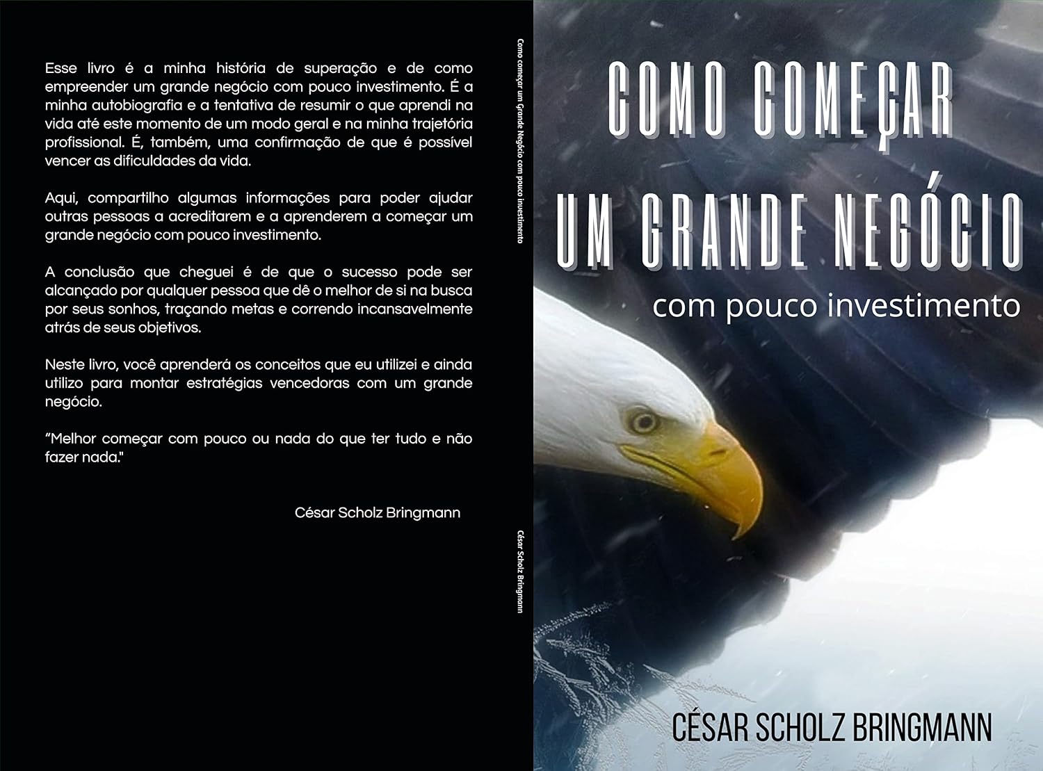 Como começar um grande negócio com pouco investimento baixar livro de graça