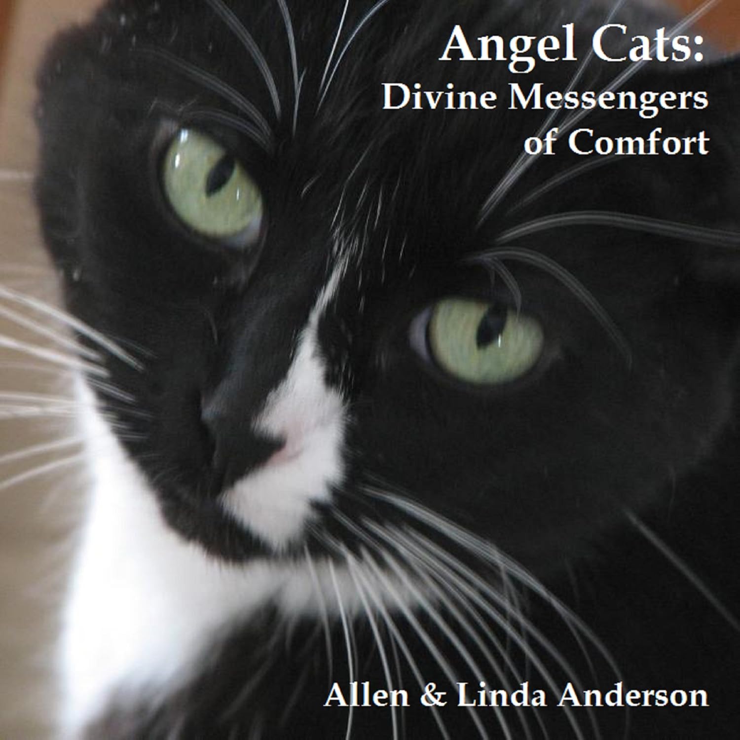 ler totalmente Angel Cats: Divine Messengers of Comfort
