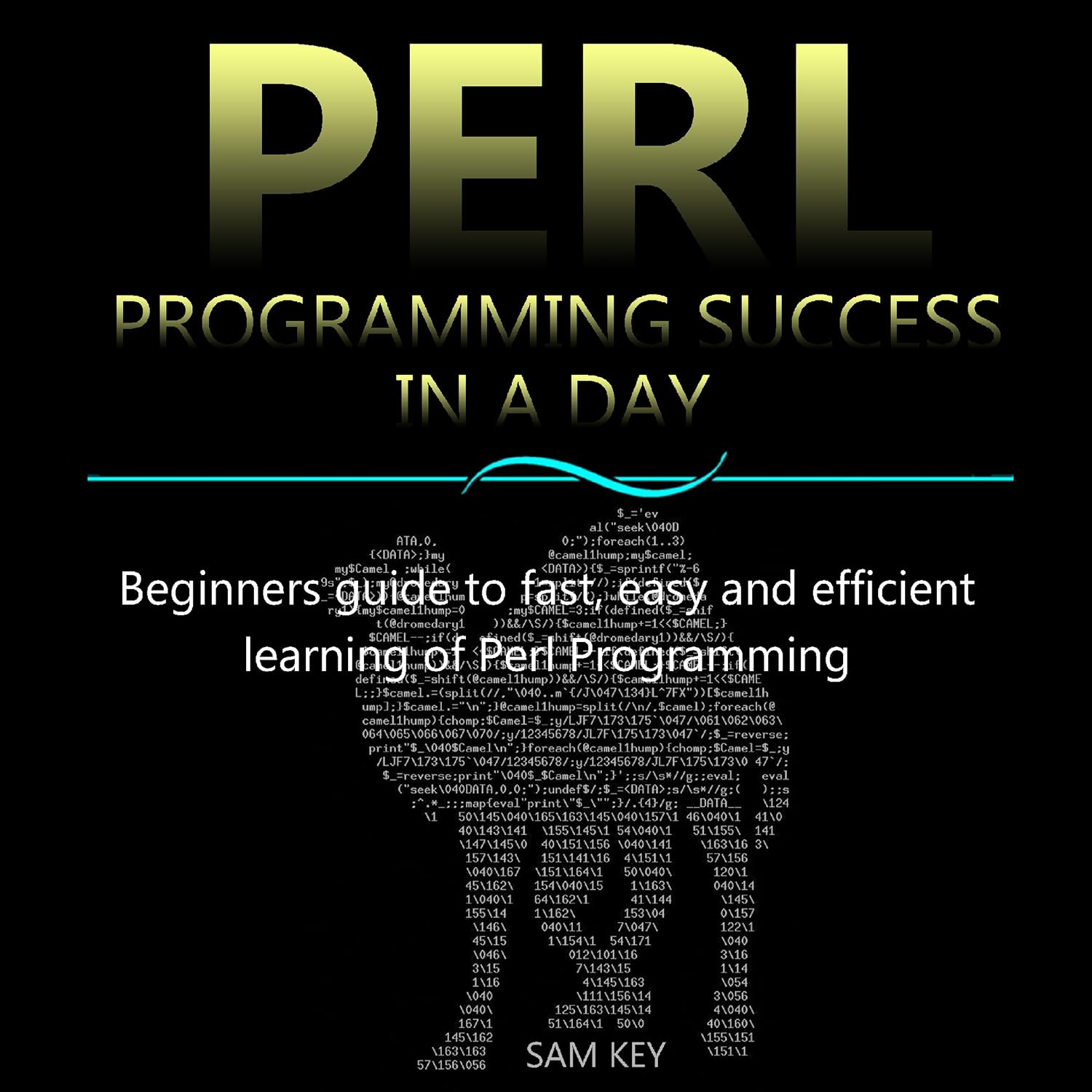 capítulo por capítulo baixar Perl Programming Success in a Day: Beginners Guide to Fast, Easy, and Efficient Learning of Perl Programming