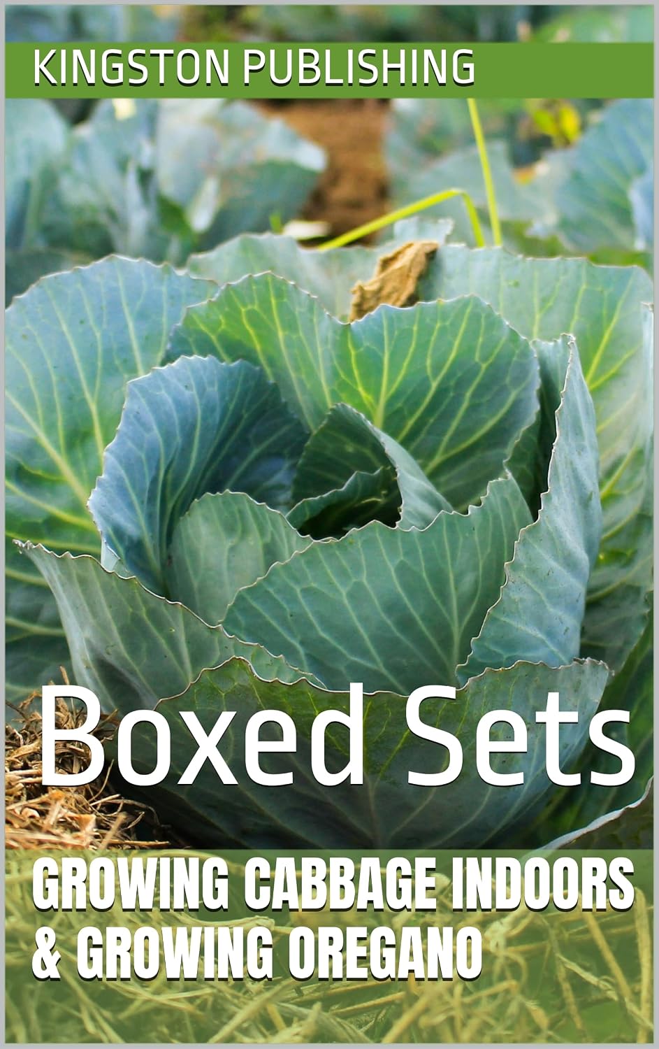 Growing Crisp Cabbage Indoors & Growing Oregano: Boxed Sets (Homegrown Ingredients) (English Edition) baixar livro de graça