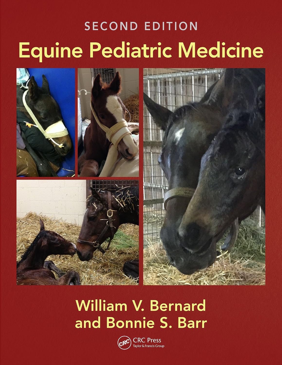 Equine Pediatric Medicine (English Edition) baixar o livro de graça