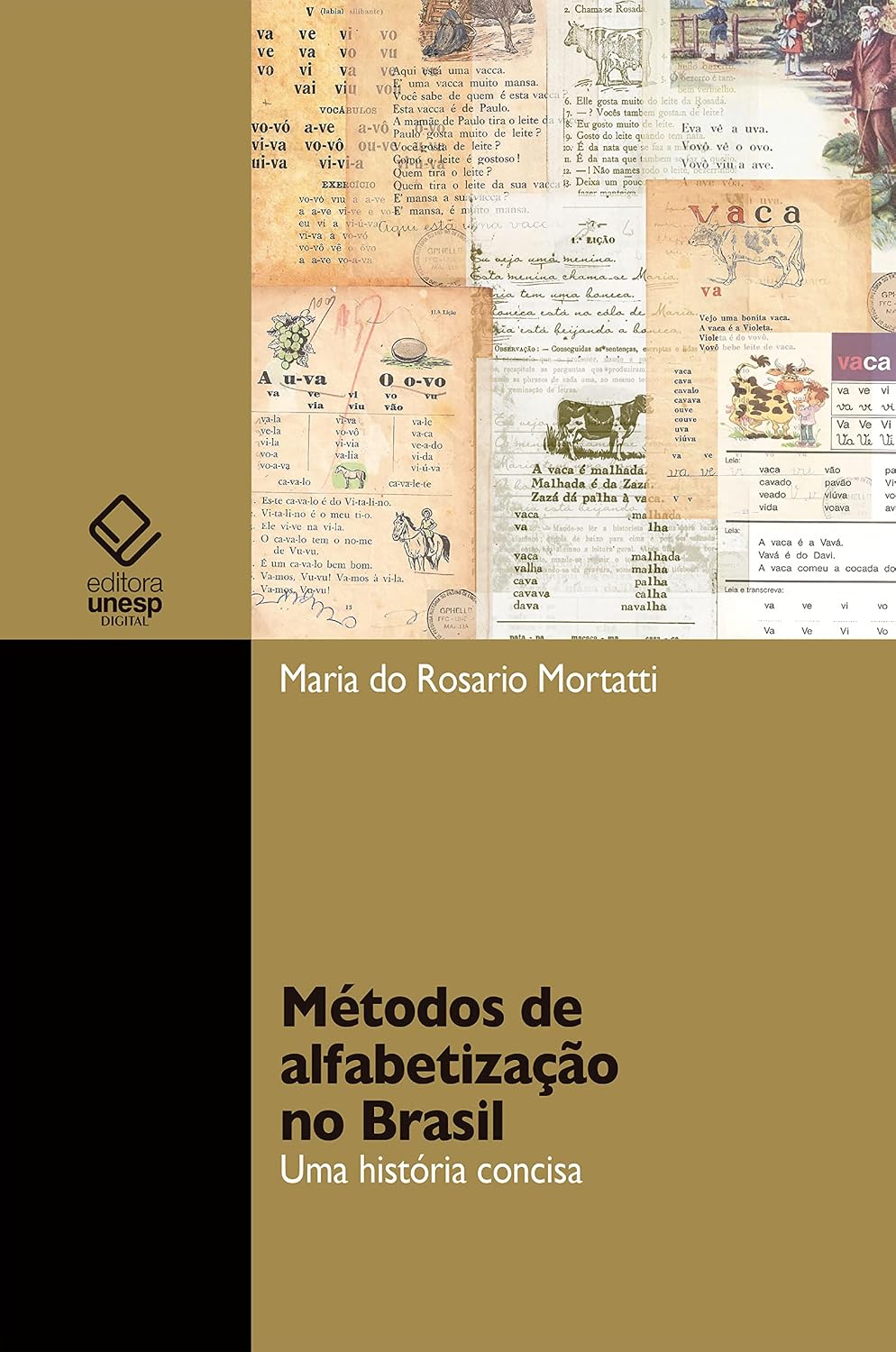 capítulo por capítulo baixar Métodos de alfabetização no Brasil: uma história concisa