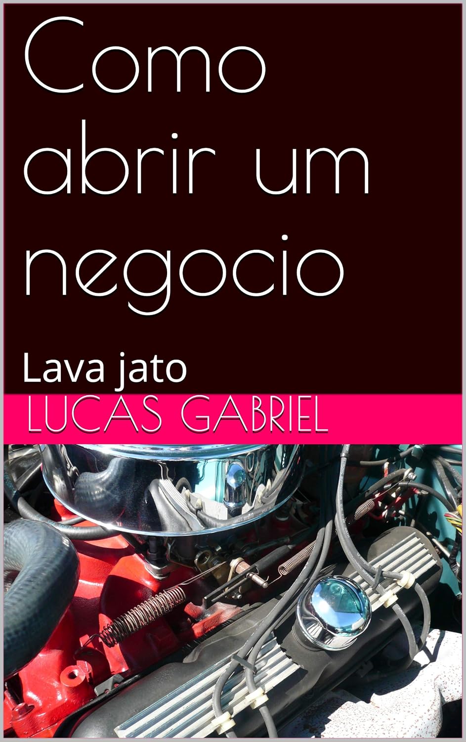 Como abrir um negocio: Lava jato (microempresas Livro 1) baixar livro de graça