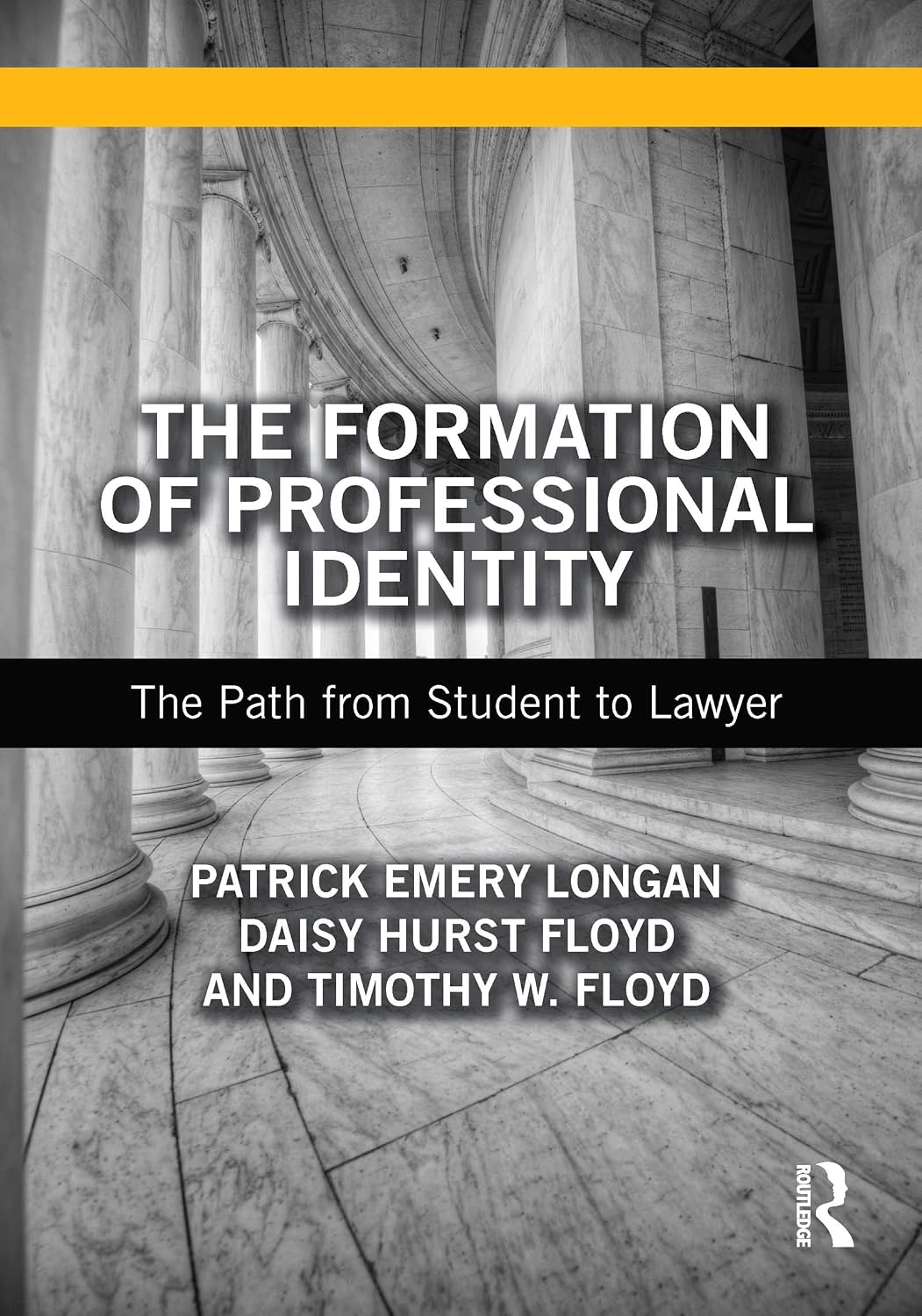 The Formation of Professional Identity: The Path from Student to Lawyer (English Edition) baixar livro de graça