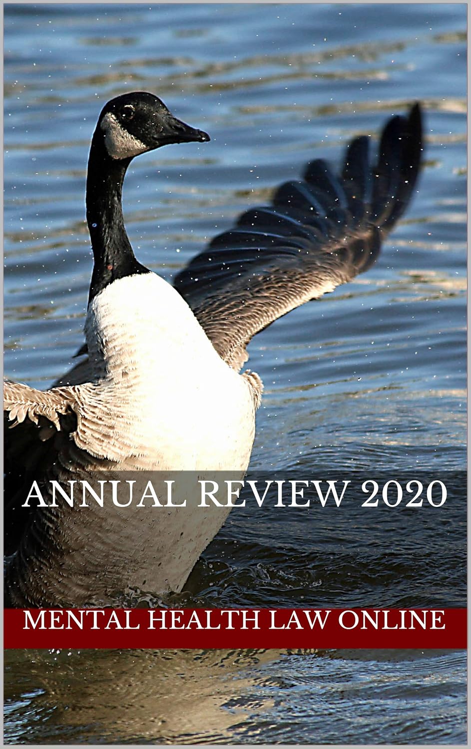 Mental Health Law Online: Annual Review 2020 (English Edition) baixar livro de graça