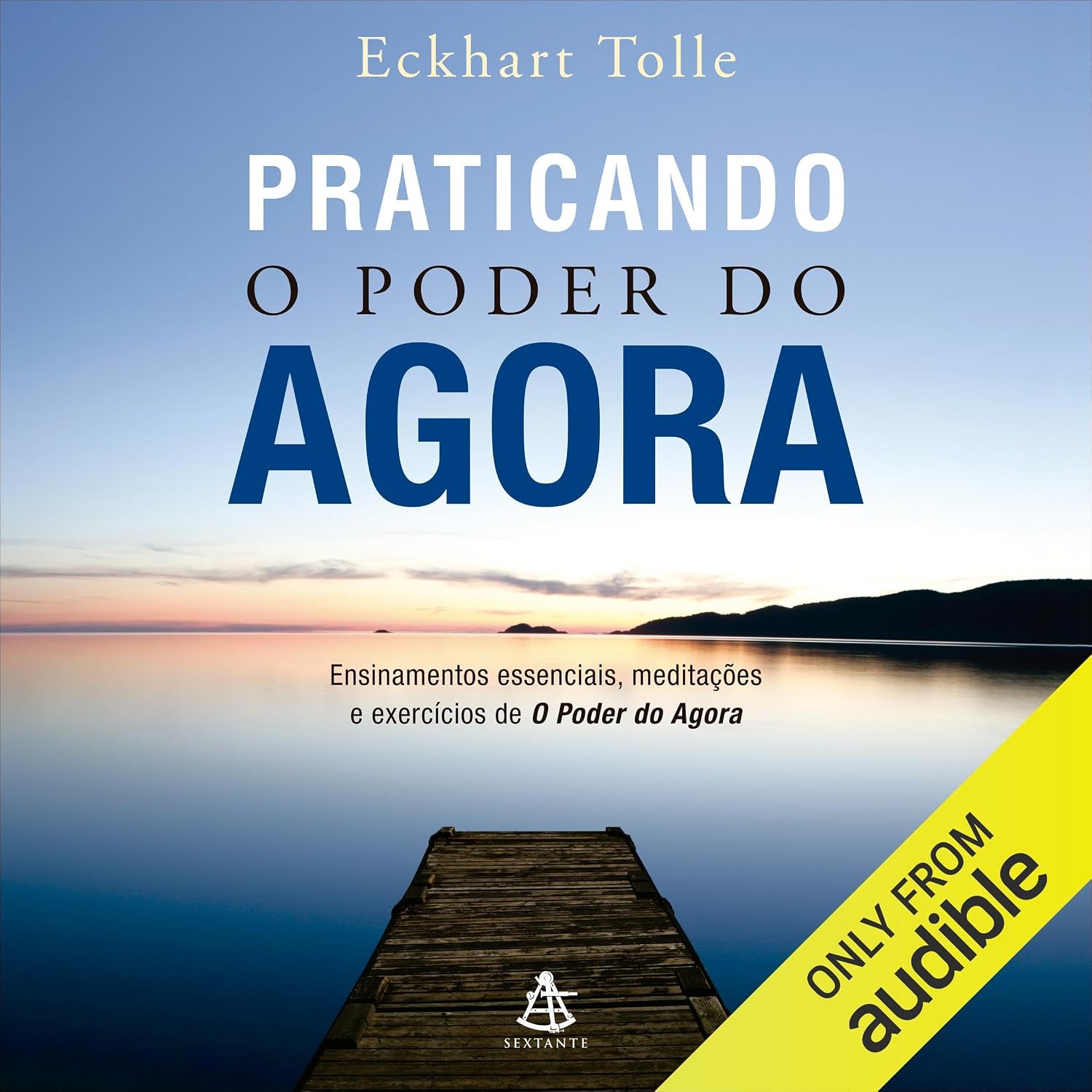 Praticando o poder do agora: Ensinamentos essenciais, meditações e exercícios de O poder do agora baixar livro de graça