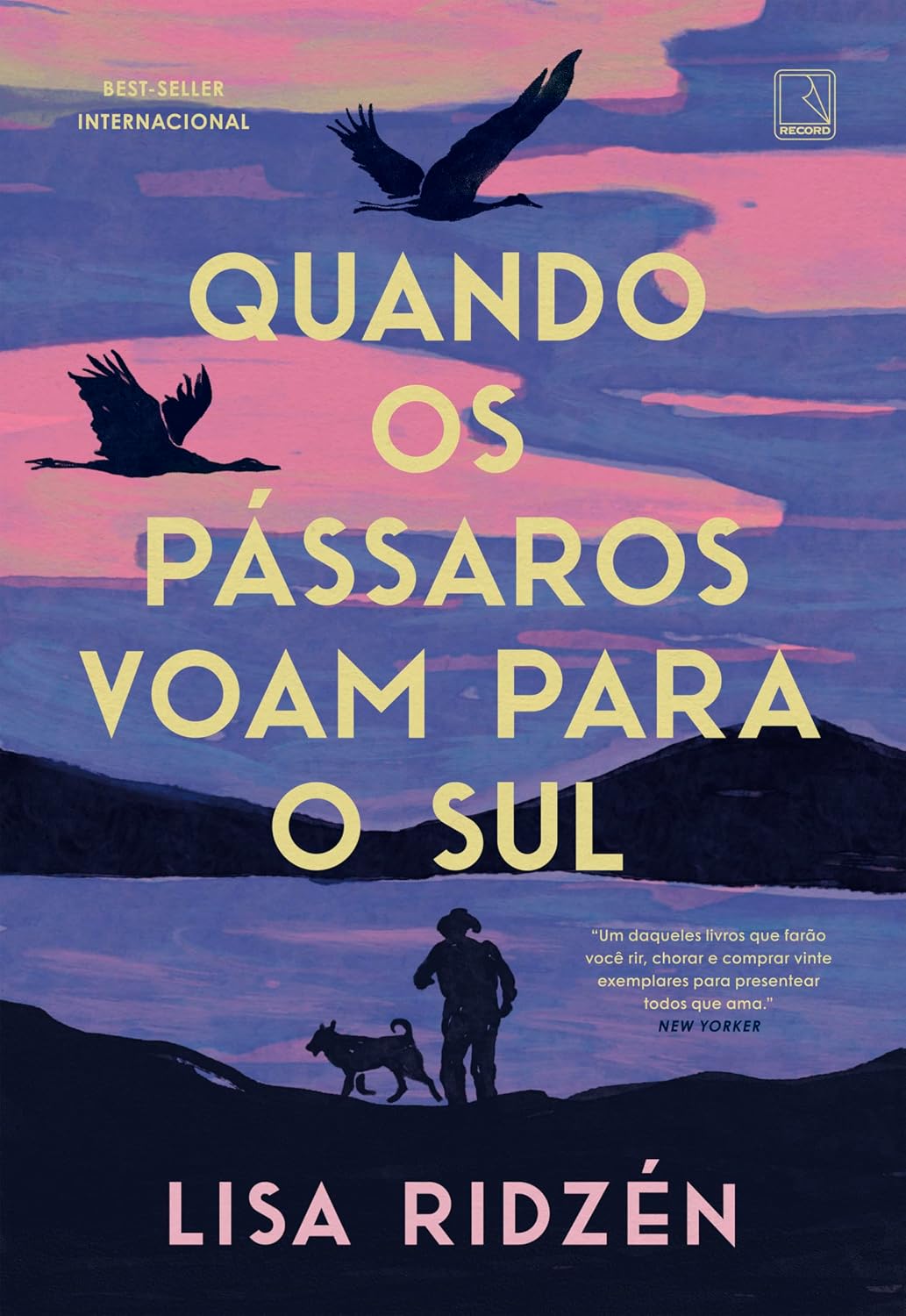 Quando os pássaros voam para o sul
