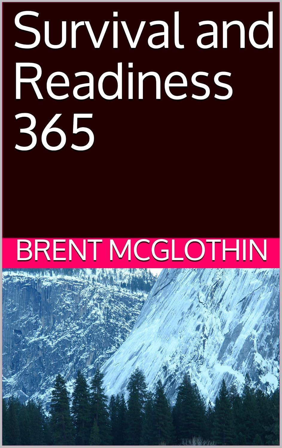Survival and Readiness 365 (English Edition) baixar o livro de graça