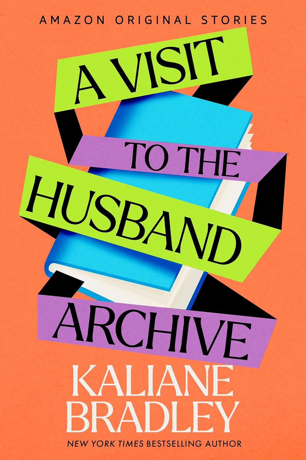 A Visit to the Husband Archive (The Time Traveler's Passport) (English Edition) baixar o livro de graça
