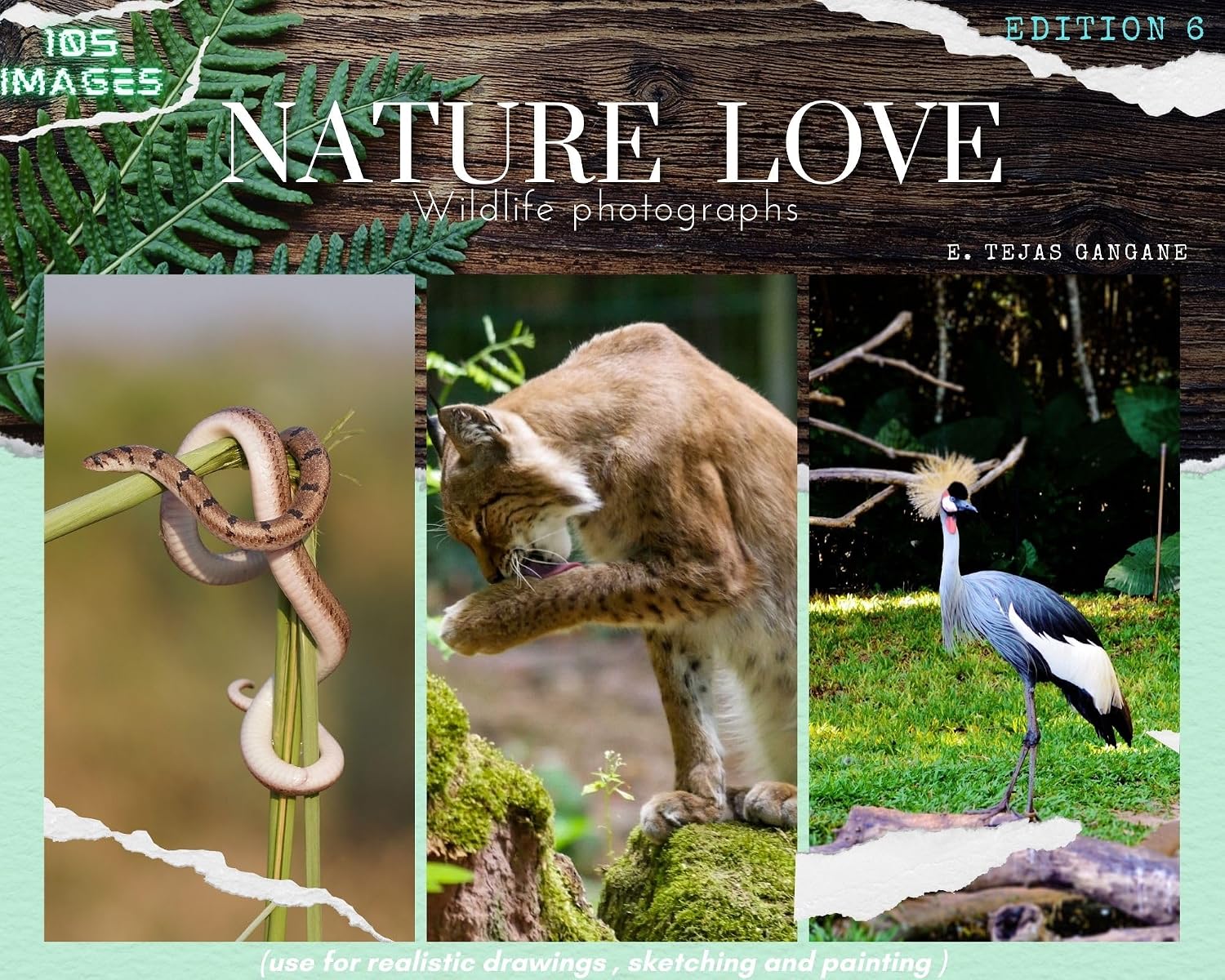 ler totalmente NATURE LOVE: WILDLIFE PHOTOGRAPHY (English Edition)