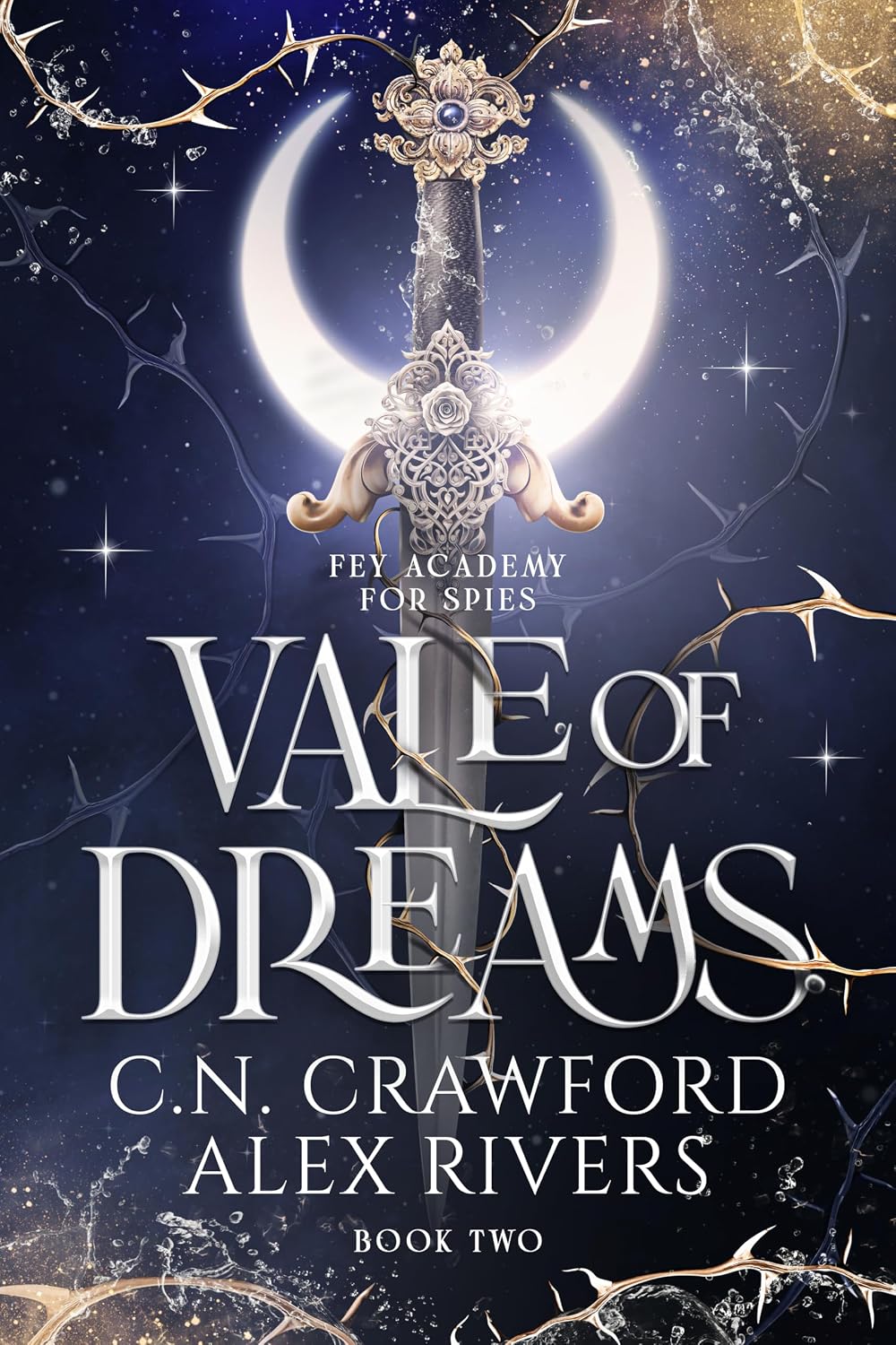 Vale of Dreams (Fey Spy Academy Book 2) (English Edition) baixar o livro de graça
