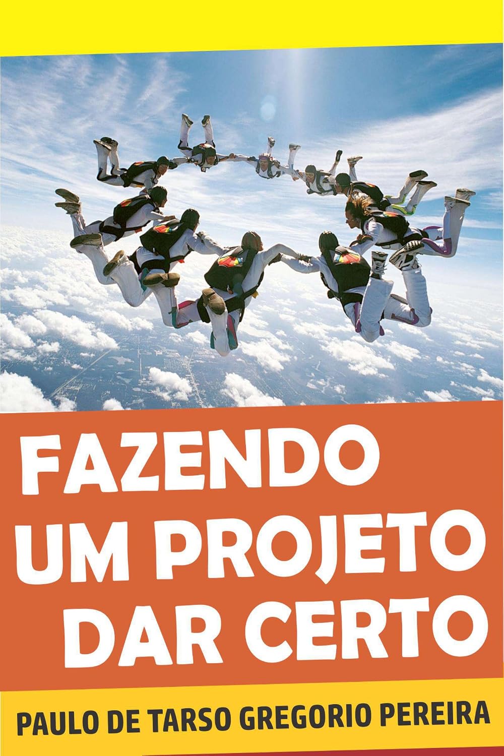 Fazendo um projeto dar certo baixar o livro de graça