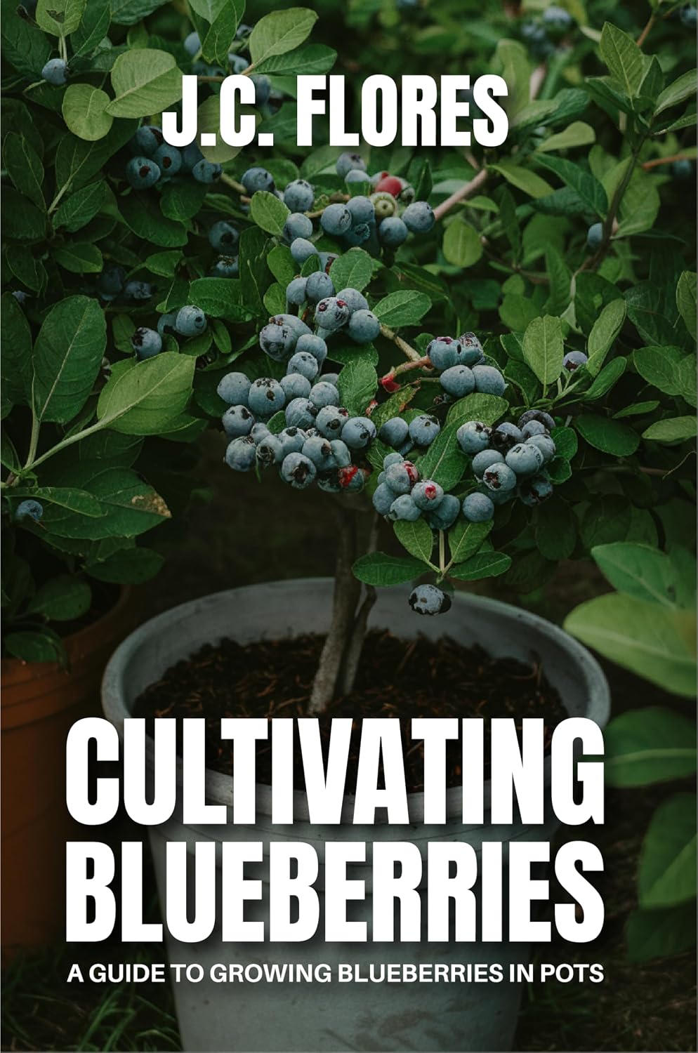 ler totalmente Cultivating Blueberries: A guide to growing blueberries in pots (English Edition)