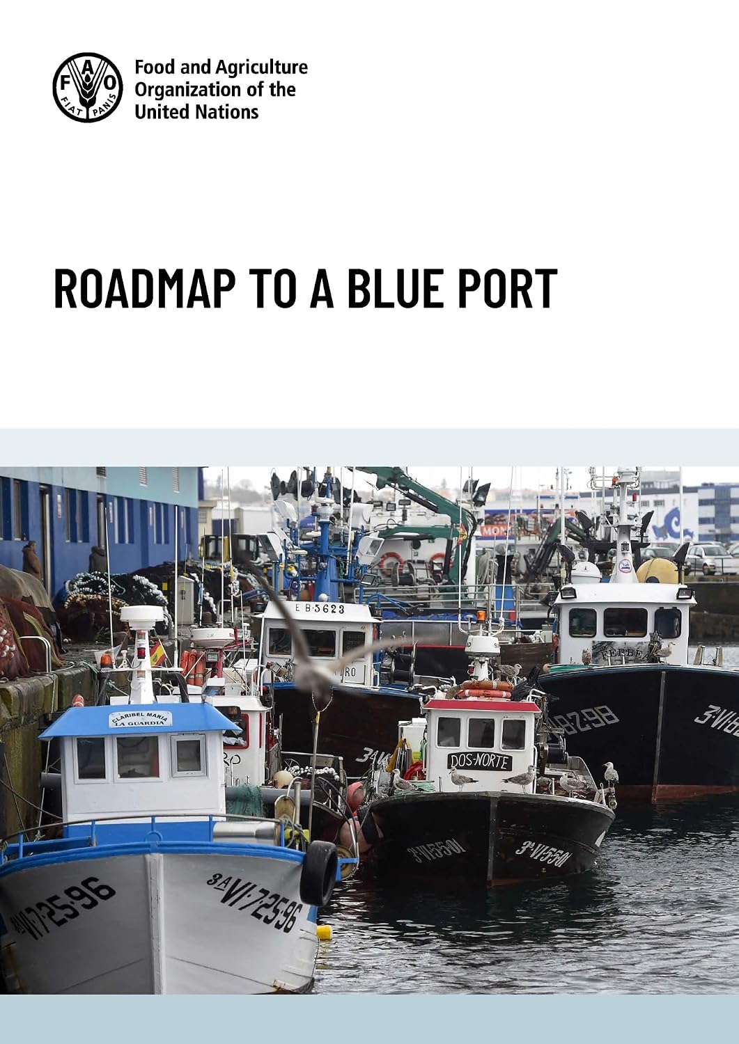 Roadmap to a blue port